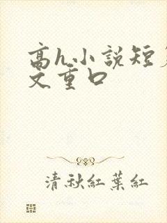 高h小说短篇辣文重口