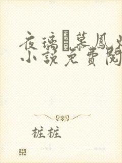 夜璃玦慕凤烟的小说免费阅读封面