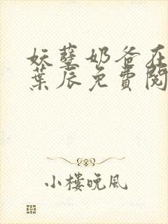 妖孽奶爸在都市叶辰免费阅读
