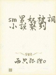 sm男奴被调教小说系列
