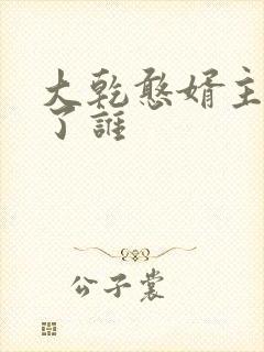 大乾憨婿主角娶了谁
