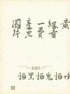 国产一级黄色淫片免费看
