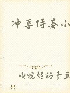 冲喜侍妾小说封面