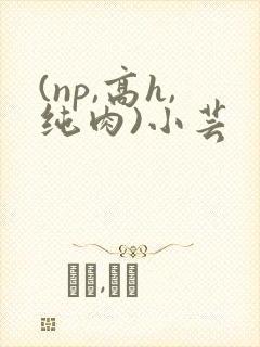 (np,高h,纯肉)小芸