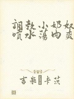 调教小奶奴高h喷水荡肉爽文