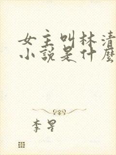 女主叫林清雪的小说是什么