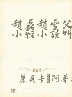 赵磊赵雪父女李小雅小说叫什么名字