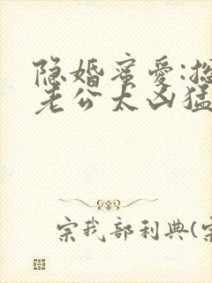 隐婚蜜爱:总裁老公太凶猛封面