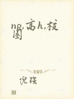 np,高h,校园