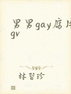 男男gay腐片gv