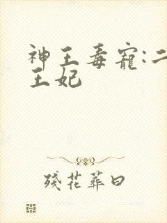 神王毒宠:二嫁王妃