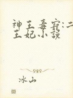 神王毒宠:二嫁王妃小说