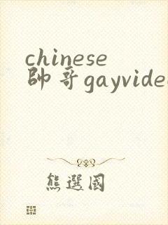 chinese帅哥gayvideo