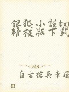 银狐小说txt精校版下载