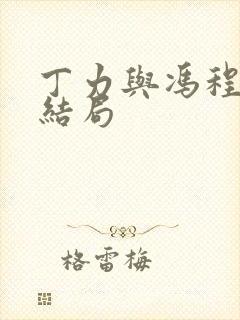 丁力与冯程程的结局