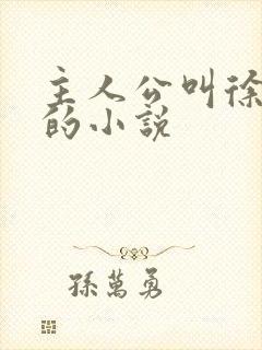 主人公叫徐什么的小说
