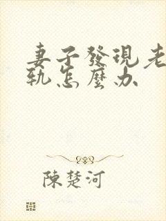 妻子发现老公出轨怎么办封面