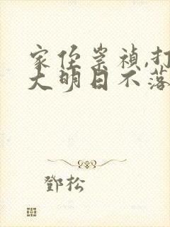 家侄崇祯,打造大明日不落小说txt文本下载封面