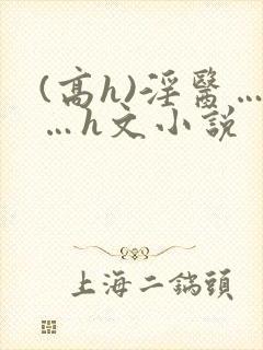(高h)淫医……h文小说封面