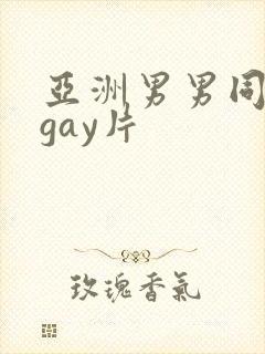 亚洲男男同性恋gay片封面