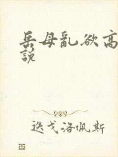 岳母乱欲高潮小说封面