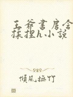 王爷书房含乳尖揉捏h小说封面