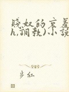 贱奴的哀羞(高h,调教)小说