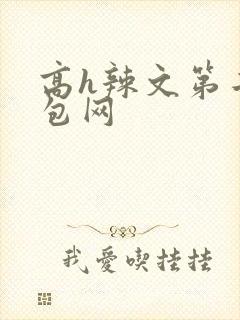 高h辣文第二书包网