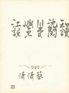 江屿川沈知意小说免费阅读封面