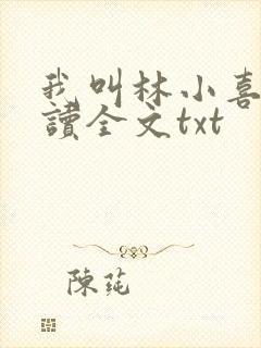 我叫林小喜全阅读全文txt