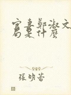 官妻郑淑文大结局是什么