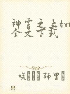 神霄之上txt全文下载