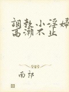 调教小淫妇失禁高潮不止封面