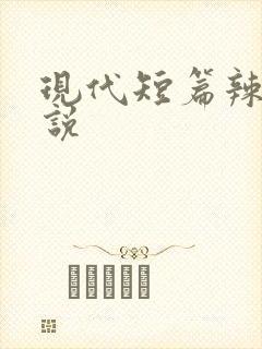 现代短篇辣文小说封面