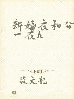 新婚夜和公做了一夜h