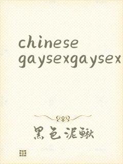 chinesegaysexgaysex封面