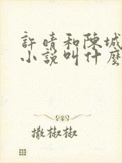 许晴和陈城原著小说叫什么封面