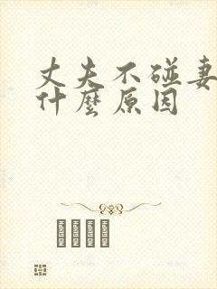 丈夫不碰妻子是什么原因