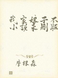 我家娘子不对劲小说未删版全集