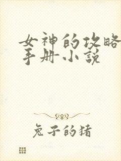 女神的攻略调教手册小说