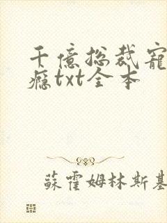 千亿总裁宠妻上瘾txt全本
