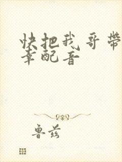 快把我哥带走万幸配音