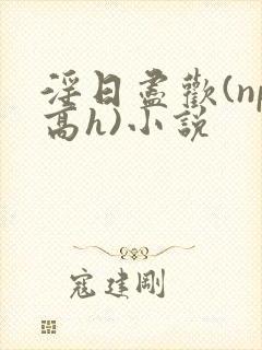 淫日尽欢(np高h)小说封面