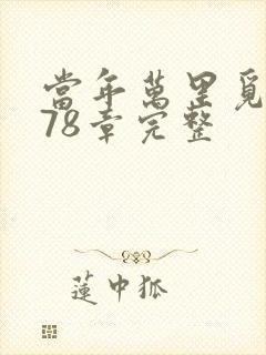 当年万里觅封侯78章完整