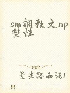 sm调教文np双性