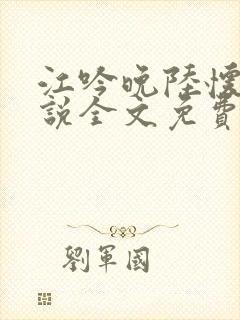 江吟晚陆怀璟小说全文免费阅读全文