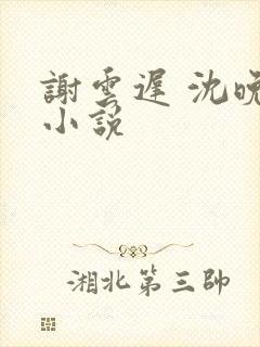 谢云迟 沈晚梨小说封面