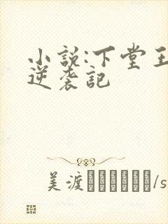 小说:下堂王妃逆袭记