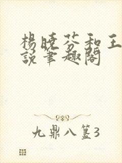 杨晓芬和王磊小说笔趣阁