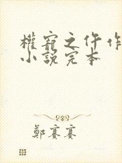 权宠之仵作医妃小说完本